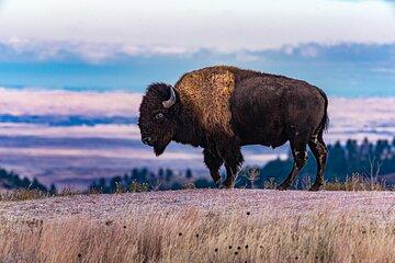 The Southern Black Hills Explorer