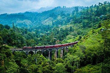 First Class Scenic Train Ticket From Kandy To Ella