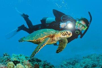 Mediterranean Diving Adventure from Antalya, Belek, Kemer