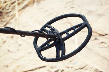 Private Metal Detecting Tour to Simmons Island Beach of Kenosha