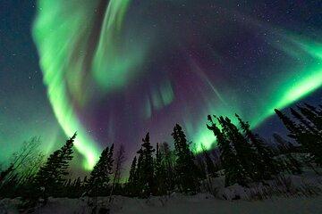 Yellowknife Small Group Aurora Photography and Viewing