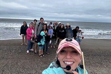 Public Group Shark Teeth Hunting Experience