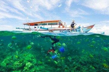 Private Day Trip Tour To Secret Gilis