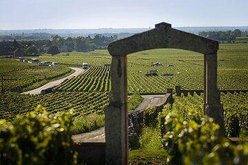 Private Wine Tasting Tour - Burgundy Uncorked!!