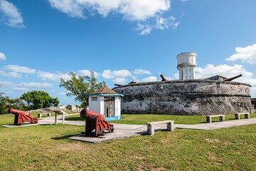 Half Day Private Guided Island Tour in Nassau Bahamas