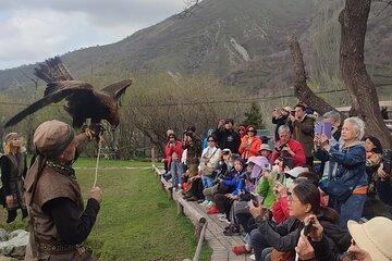 Almaty Hiking Adventure-Japanese Road and Eagle Show
