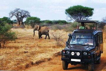 4 Days Kruger and Panorama Adventure from Johannesburg