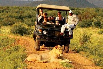 Durban Safari Experience by Phezulu