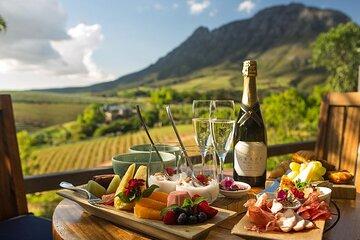 Cape Town Wildlife and Wine Adventure Cheetahs Giraffes with Wine