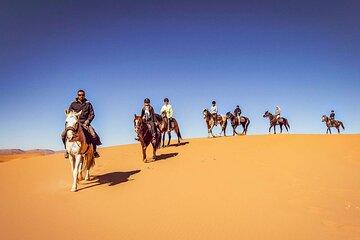 Explore Doha on Horseback
