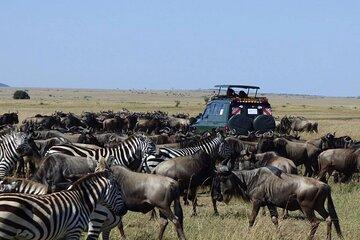 Seven Day Safari Tour of Kenya from Nairobi with Accommodation