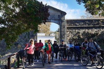 Bike Rental in Colonia