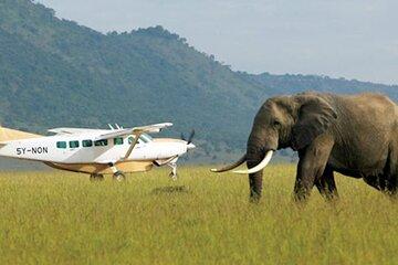 3 Day Serengeti Fly in Safari