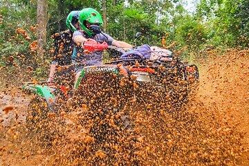 ATV Adventure through the Forest with Canyon Views
