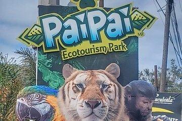 Pai Pai Animal Experience: Pvt Transportation + Ticket Option