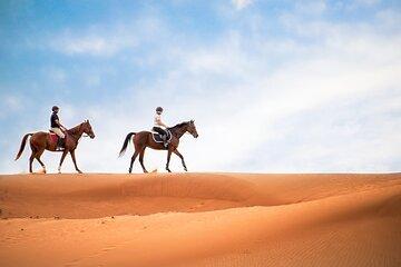 Doha Horseback Riding Adventure in Desert with Transport