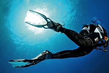 Scuba Diving Experience for Beginners in Ponta de São Lourenço