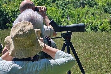 7 Day Trip - Birdwatching in Albania