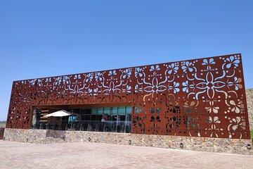 Private Tour of Wineries in San Miguel