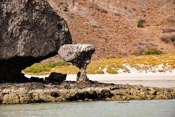 Balandra Beach Escape Snorkel & Wildlife Roundtrip Pichilingue