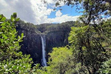 Port Macquarie day tour to Ellenborough Falls & Comboyne Rock