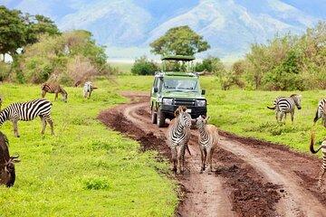 3 Days Safari to Tarangire Ngorongoro and Lake Manyara