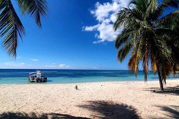 Saona Island Excursion: Small Group on Motorized Trimaran