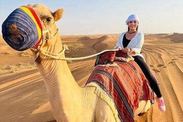 Private Half Day Abu Dhabi Desert Safari Tour