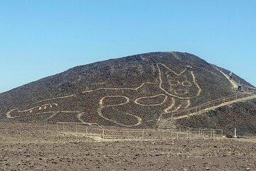 Archaeological Tour in Nasca and Overflight with Transfer from Ica