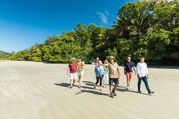 Cairns Super Saver: Reef Cruise, Daintree & Kuranda Rail/Skyrail