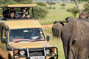 4-Day Astonish Mikumi NP and Ruaha National Park