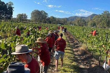 Full Day Private Wine Tour Exclusively Tailored To Suit You