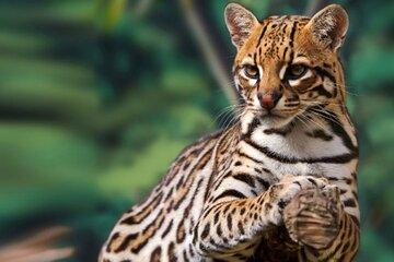 La Tigra National Park