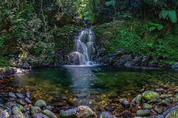 Hue to Bach Ma National Park: Trekking & Nature Adventure