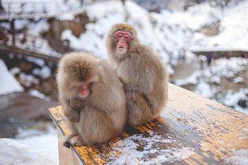 Nagano Day Private Tour from Tokyo