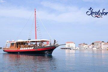 Dolphin Sightseeing in Poreč