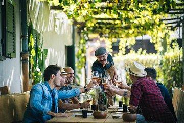 Organic malt production and beer tasting at the Piano di Magadino