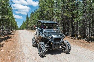 RZR Adventure to Sawtelle Peak