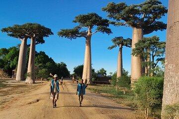 Morondava: Tour to Kirindy Forest and Baobab Avenue
