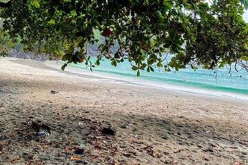 Beach day in Manuel Antonio National Park from San José