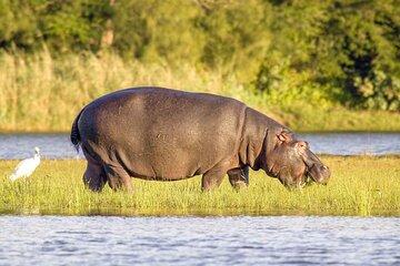 Half Day iSimangaliso Boat Safari Tour To Richards Bay