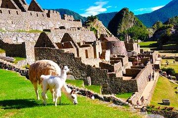 Private Guided Tour in Machu Picchu