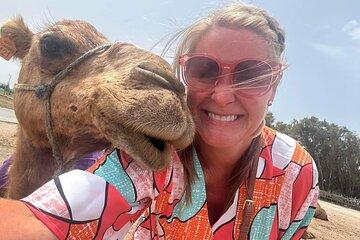 Tangier Luxury Private Day Tour From Tarifa including Camel ride
