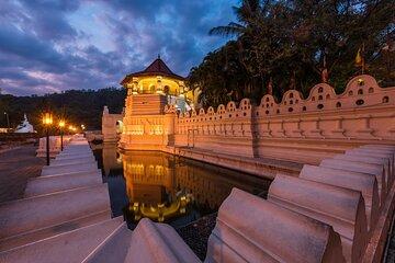 From Sigiriya to Kandy Transfer by Private Comfortable Car