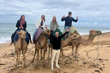 Seville to Tangier: luxury Private Day Trip for Cruise Guests