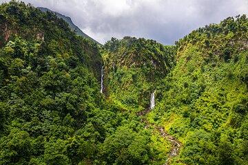 Private Tour with Botanical Gardens, Trafalgar Falls&Morne Bruce