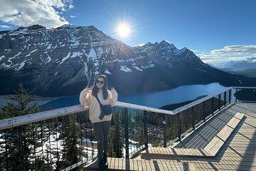 Lake Louise, Moraine Lake, Peyto Lake, Crowfoot Tour from Canmore