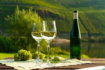 Private Wine Tour in Pfalz Wine Region