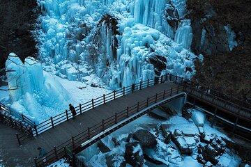 Seoul: Nami, Railbike, Eobi Ice Valley, Petite France Winter Tour