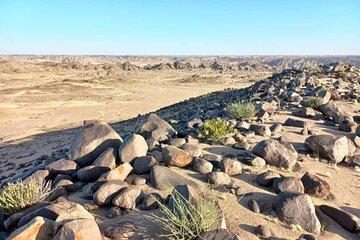 Half-Day Guided Tour to Moonlandscape and Welwitschia Mirabilis